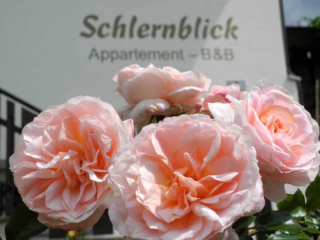 Apartamento Haus Schlernblick Nova Ponente Exterior foto